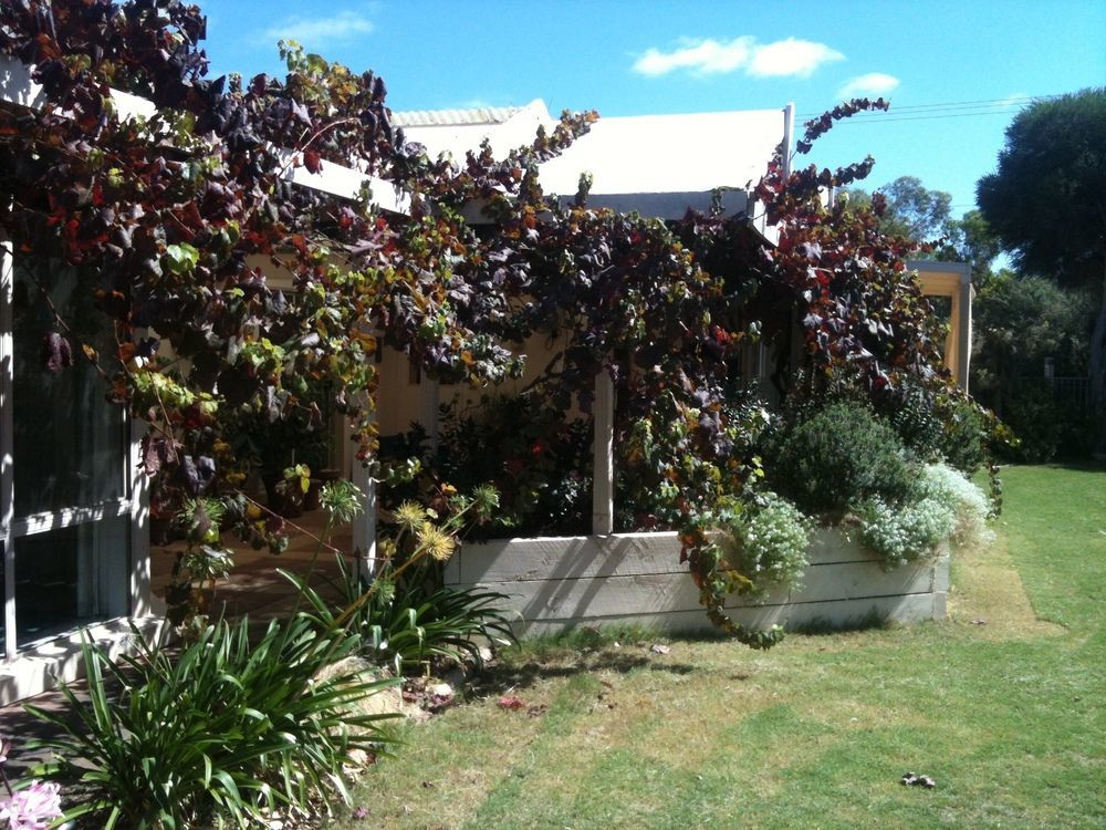 Bellevue Bed & Breakfast Mclaren Vale Exterior foto